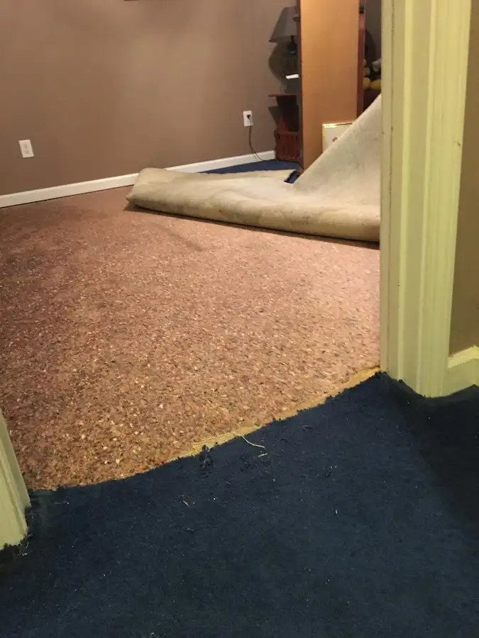 Carpet pad removal revealing water damage during Water Mitigation Services in Clarendon Hills