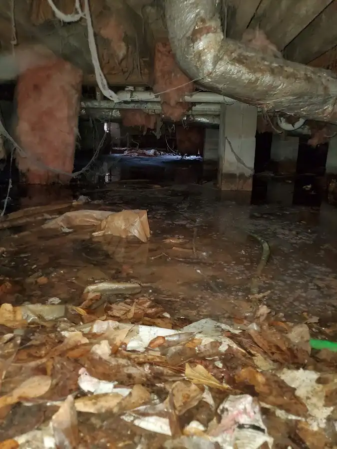 Crawl space flood assessment for Commercial Water Damage Restoration in Clarendon Hills
